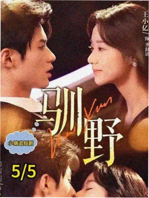 慢火炖星河封面
